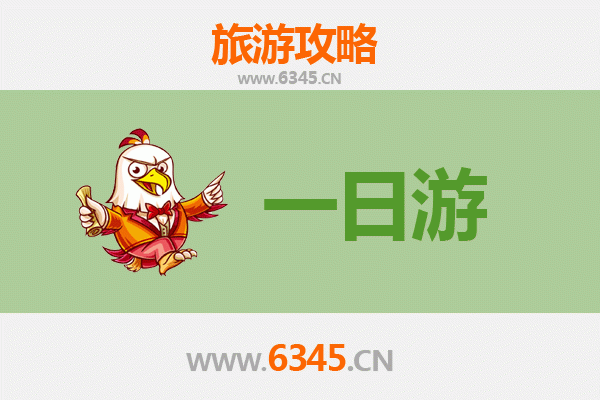 昌江国营红林农场一日游全攻略 | 雨林探秘与黎族文化体验