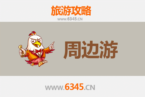 昌江国营红林农场周边游攻略：探秘热带雨林与黎族文化